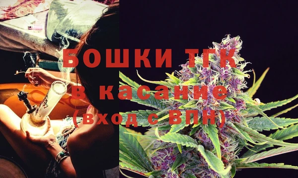 твердый Абаза