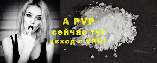 твердый Абаза